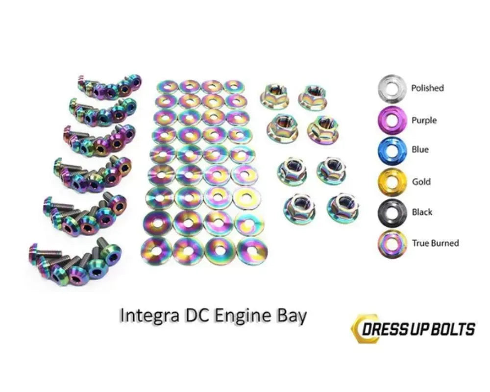 Engine Bay Dress-Up