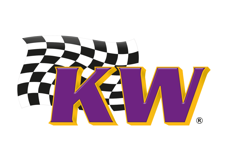 KW 81-83 DeLorean DMC-12 V2 Classic Coilover Kit
