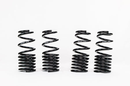 Honda S2000 AP1/AP2 (2000–2009) Spec-R Lowering Springs — 4H007R