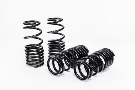 Honda S2000 AP1/AP2 (2000–2009) Spec-R Lowering Springs — 4H007R