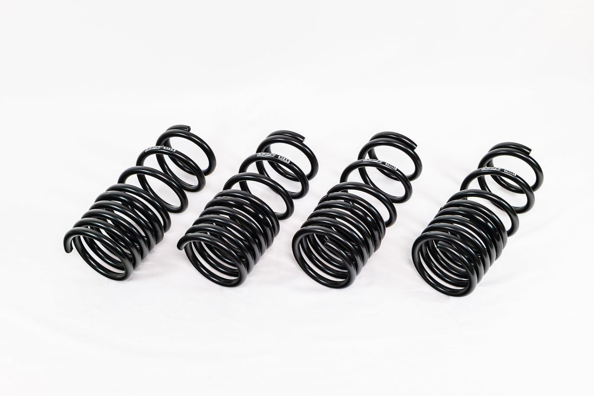 Honda S2000 AP1/AP2 (2000–2009) Spec-R Lowering Springs — 4H007R