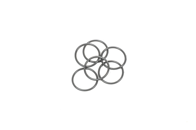 Radium Engineering O-Ring Service Kit - 25mm Injector Seat - Set of 6