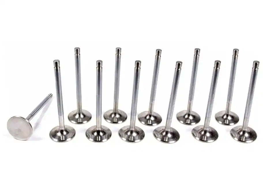 RB25 NEO Intake +1mm Valve Set