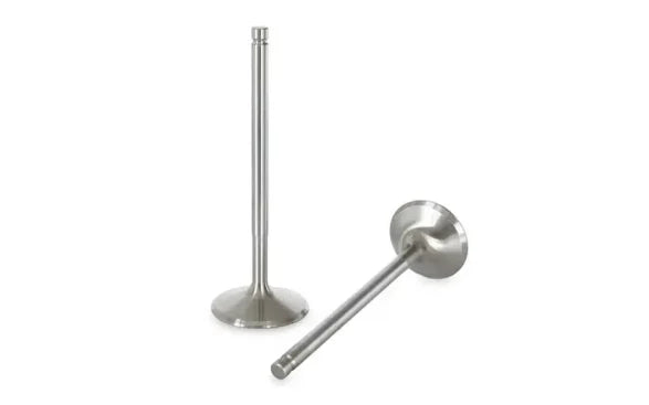 Audi TFS I Ferrea Exhaust Valve Set 1mm+