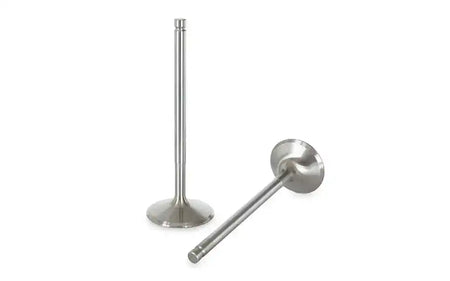 Audi TFSI Ferrea Exhaust Valve Set 1mm+