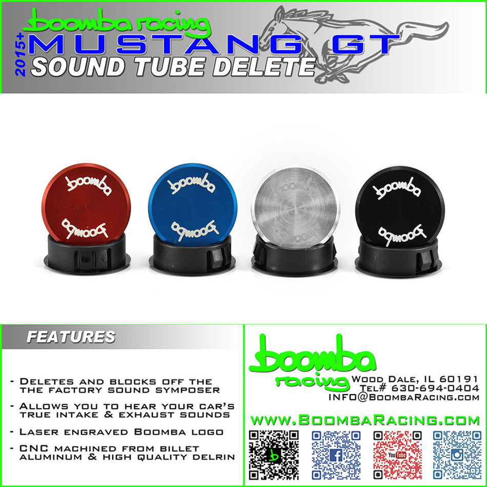 MUSTANG GT SOUND TUBE DELETE
