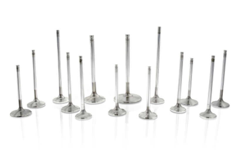 Ferrea 08-12 Honda Accord LX K24Z2 I-VTEC 28mm Head 5.48mm Stem Dia Comp Plus Intake Valve- Set of 8