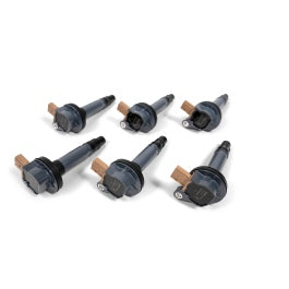 BorgWarner BERU 2012-2017 3.5L Ecoboost Ignition Coils - SOLD INDIVIDUALLY