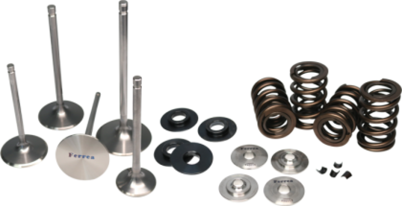 Ferrea 00-09 Suzuki DRZ/LTZ 400 Single Valve Spring Kit