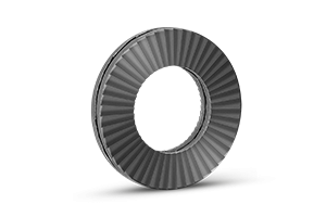 M10 Lockwashers