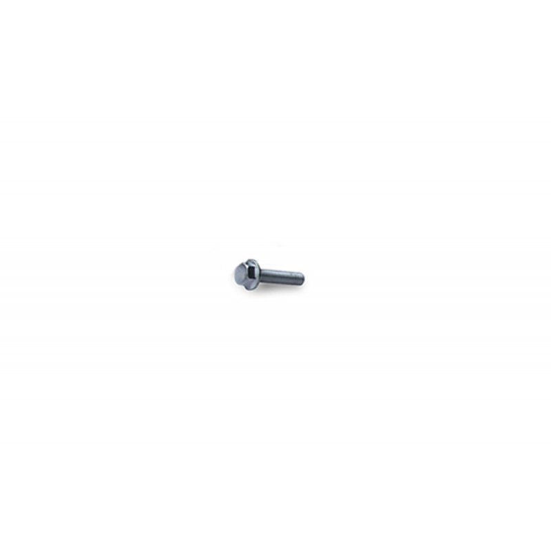EXHAUST REPAIR PART FLANGE BOLT M8 P1.25 L30 SUS