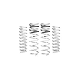 Eibach 2021-2023 Ford F150 Raptor Pro-Lift-Kit Springs